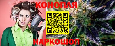 сатива Будённовск