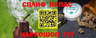сатива Будённовск